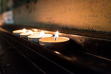 《宝可梦：朱＆紫》公布宝箱宝可梦索财灵